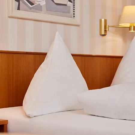 Zum Schiff Freiburg im Breisgau