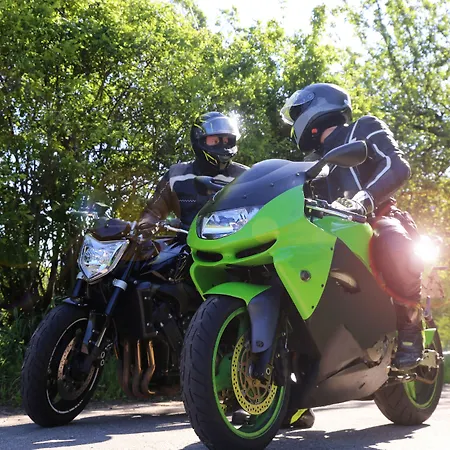 Zum Schiff 4* Friburgo em Brisgóvia