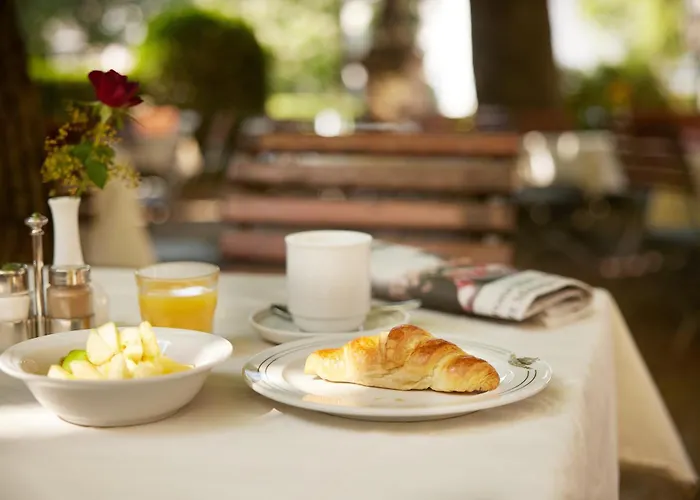 祖穆斯希夫酒店 4* 弗赖堡