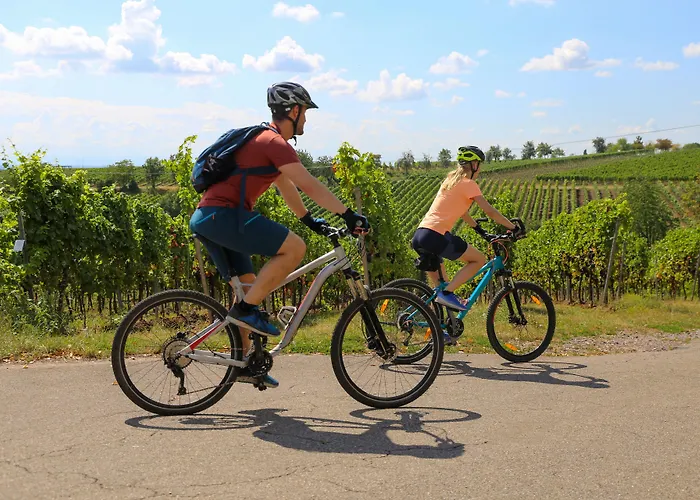 酒店 祖穆斯希夫酒店 4*